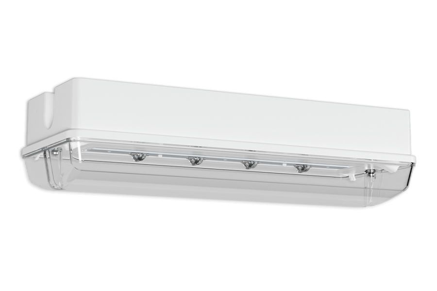 PROTECT BEL-R DM Bild 1 Produktabbildung PROTECT BEL-R DM Bild 1