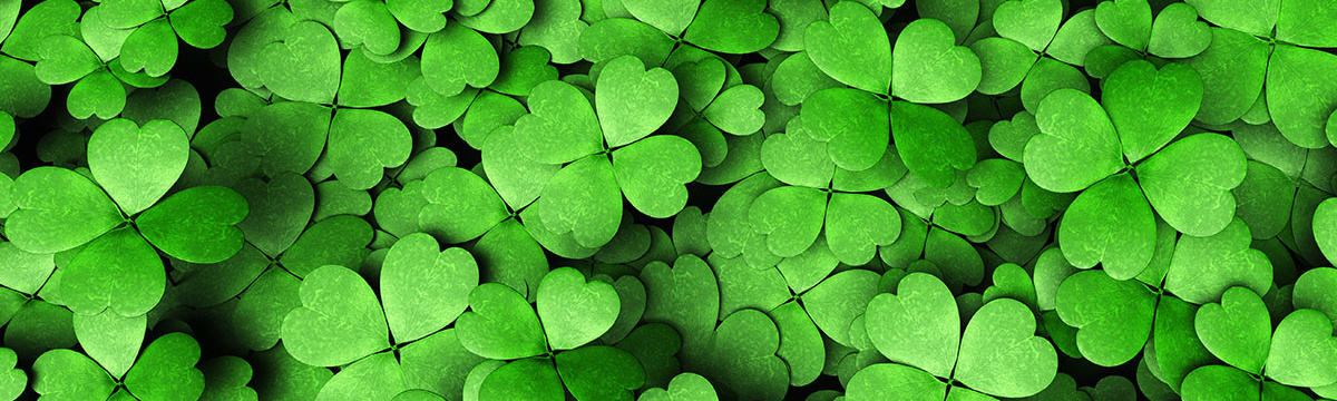 Initiativbewerbung PERMALUX